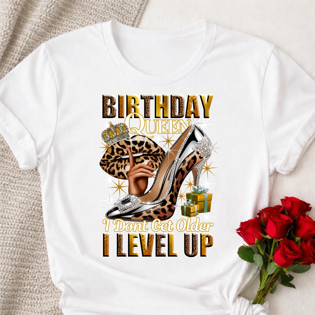 I Level Up Birthday Tshirt or Full Color DTF Transfer