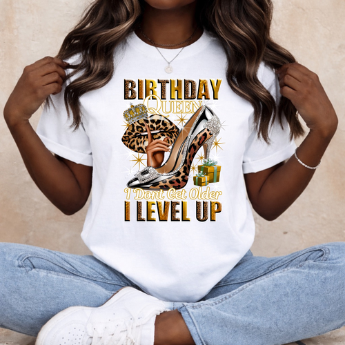 Birthday Queen Shirt - Birthday Queen Tee - Cute Party Tee - Birthday Graphic Tee